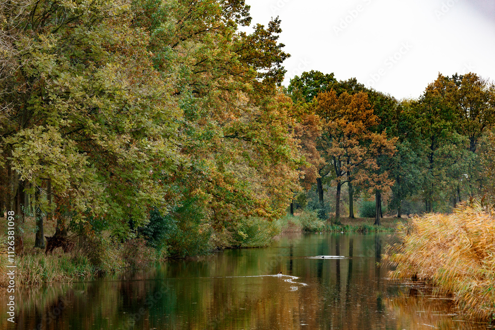 Autumnal scene: Colorful trees line a calm waterway, reflecting the foliage. Birds are visible on the water. Autumnal scene: Colorful trees line a calm waterway, reflecting the foliage. Birds are visible on the water.