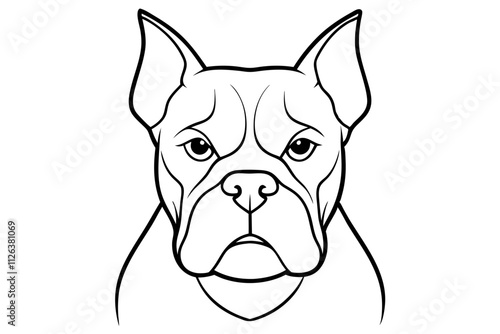  Boxer Dog Head Vector Line Art photo