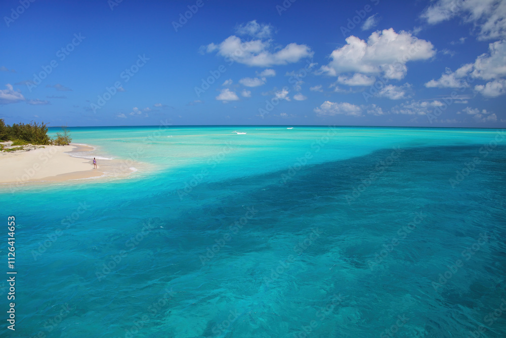 Sandy beach at the tip of Mouli Island in Ouvea lagoon, Loyalty Islands, New Caledonia. Sandy beach at the tip of Mouli Island in Ouvea lagoon, Loyalty Islands, New Caledonia.