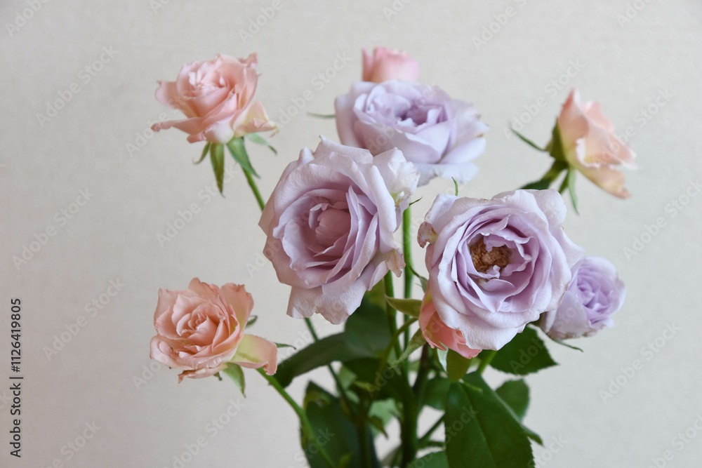 Fototapeta premium ピンクと紫の花束