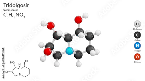 Molecule: Swainsonine or Tridolgosir. Molecular structure. Formula: C8H15NO3. Chemical model: Ball and stick. White background. 3D illustration. photo