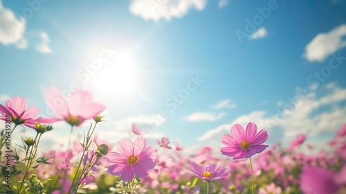 flowers in a vibrant field under a clear blue sky with sunlight representing nature's beauty and environmental conservation concept