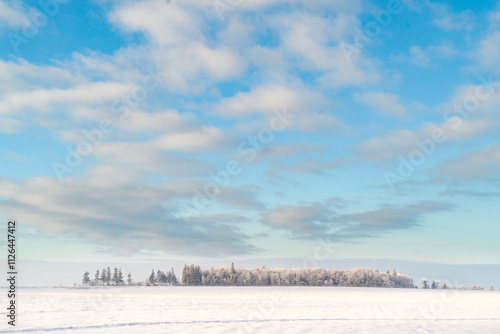 Tree line at the horizon of a vast farm field in rural Prince Edward Island.