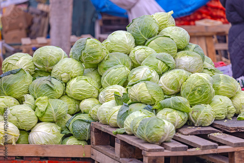 Large Pile of Organic Green Cabbage at Pallet Farmers Market