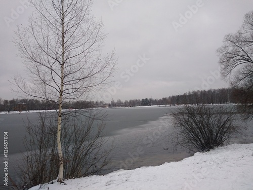 late autumn, November, park, winter, lake, ice photo