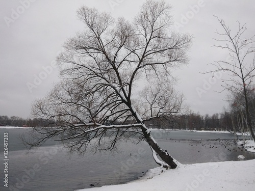 late autumn, November, park, winter, lake, ice photo