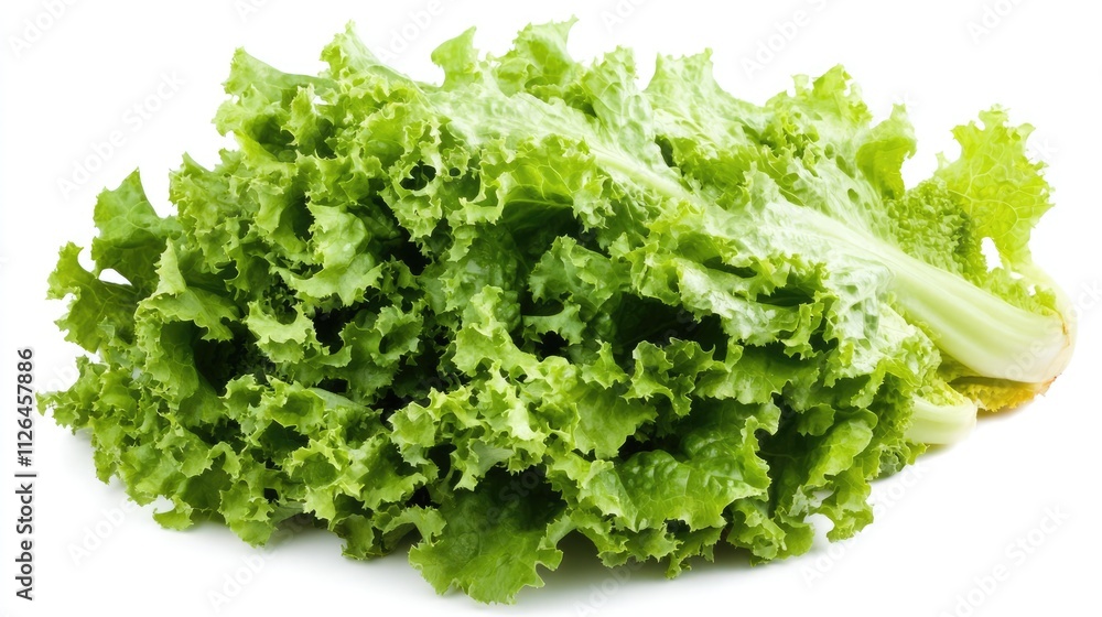 Fresh green lettuce isolated on a white background showcasing its crisp texture and vibrant color ideal for healthy food concepts. Fresh green lettuce isolated on a white background showcasing its crisp texture and vibrant color ideal for healthy food concepts.