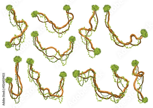 Liana branch set. Twisted wild jungle vine plants. Woody natural tropical rainforest, exotic botany element. Vector design element