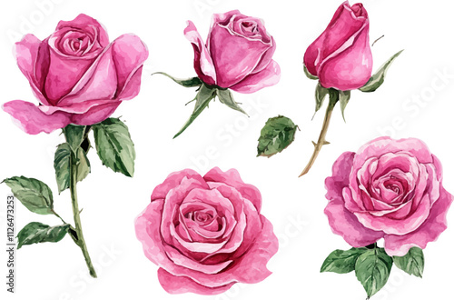 set of pink roses