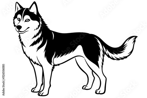 Siberian Husky Dog Line Art Vector Design photo