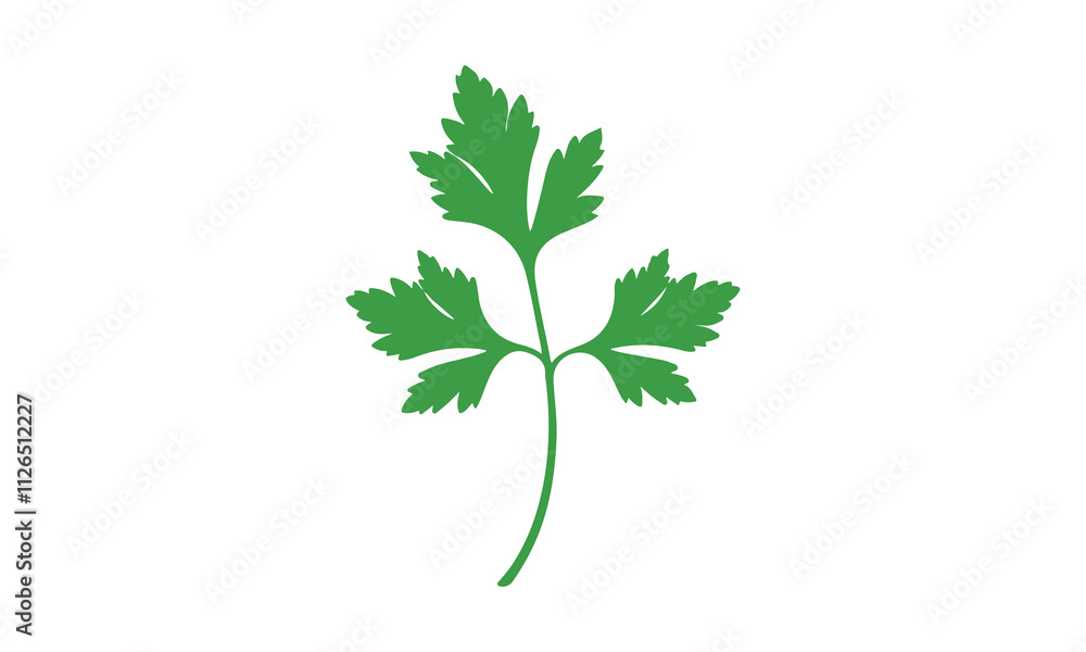 Coriander Plant Illustration on White Background Coriander Plant Illustration on White Background