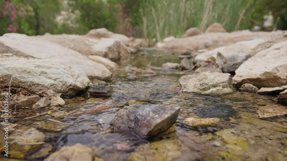 Natural stream flows through rocky terrain in a lush area Natural stream flows through rocky terrain in a lush area