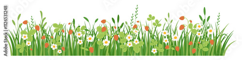 Green grass border with flowers and wild strawberries, meadow herb and grass, vector illustration
