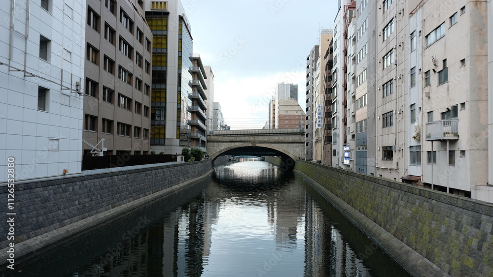 Naklejka premium Bridge Over The River