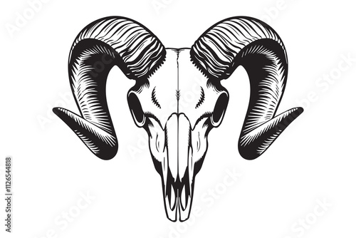 Mountain King The Skull of the Wild vector