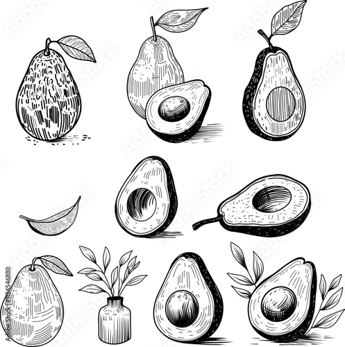 Sketch of avocados. Hand drawn collection black and white illustrations of whole and halved avocados with leaves. For vintage food packaging, botanical designs, food projects, menu. 