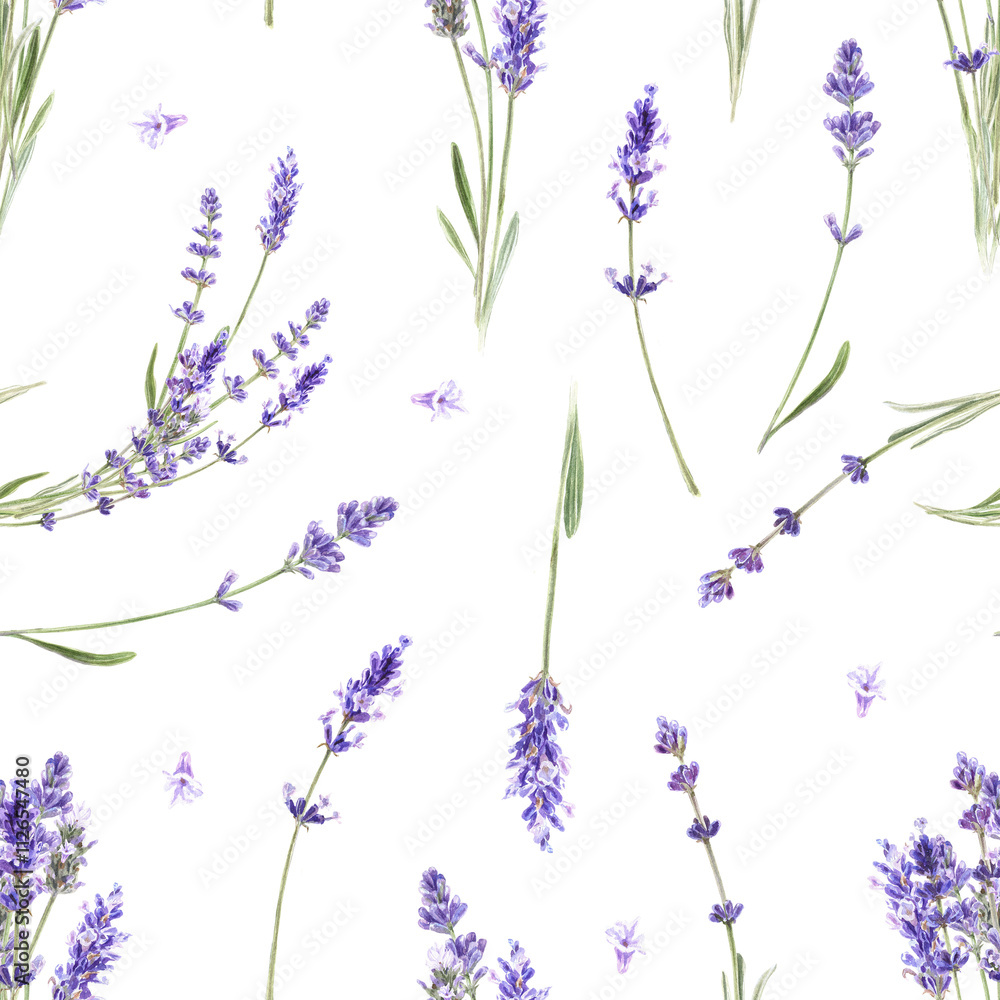 Fototapeta premium Floral seamless pattern with lavender