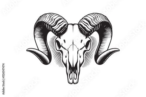 Mountain King The Skull of the Wild vector