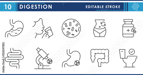 A set of line icons related to Digestion, intestine, stomach, and probiotics. Stomach, intestine, infections, drinking water, medicine and so on. Vector editable stroke.