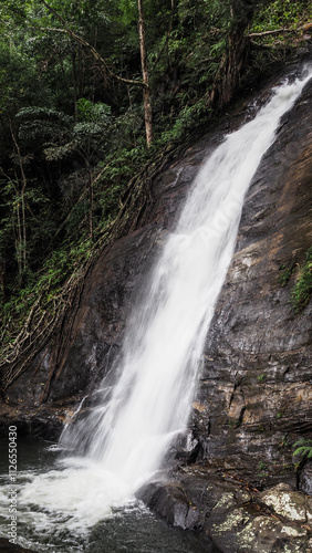 The waterfall in Sinharaja Rainforest in Sri Lanka