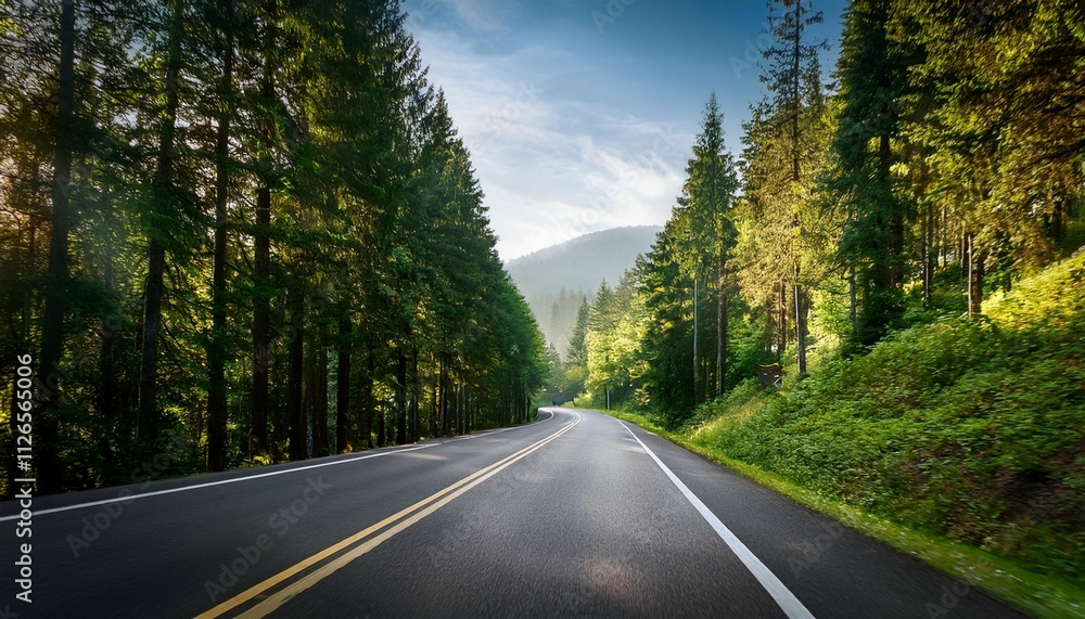 Obraz premium scenic route among the forest