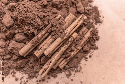Vászonkép Cinnamon sticks,Cocoa powder of mocha mousse color 2025, soft brown,coffee color