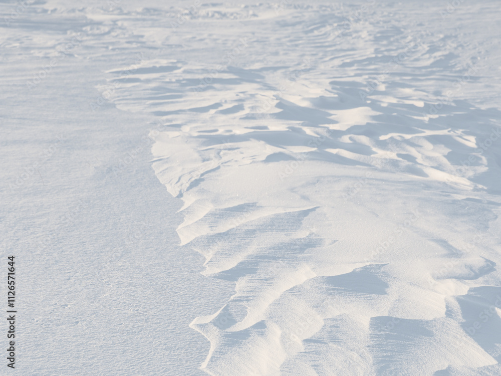 Snow texture. Wind sculpted patterns on snow surface. Wind in the tundra and in the mountains on the surface of the snow sculpts patterns and ridges (sastrugi). Arctic, Polar region. Winter background Snow texture. Wind sculpted patterns on snow surface. Wind in the tundra and in the mountains on the surface of the snow sculpts patterns and ridges (sastrugi). Arctic, Polar region. Winter background