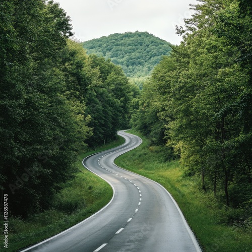 winding road through lush green forest