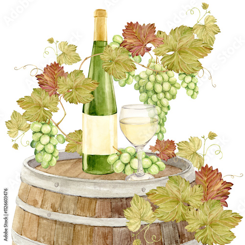 Watercolor branch with green grapes, a glass of white wine and a bottle of green glass. Wooden barrel entwined with grapevine. Clipart for tasting, menu, wine list.