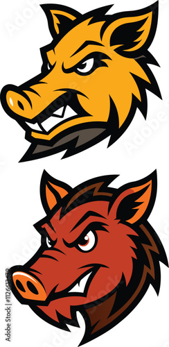  Wild Boar Head vector illustration