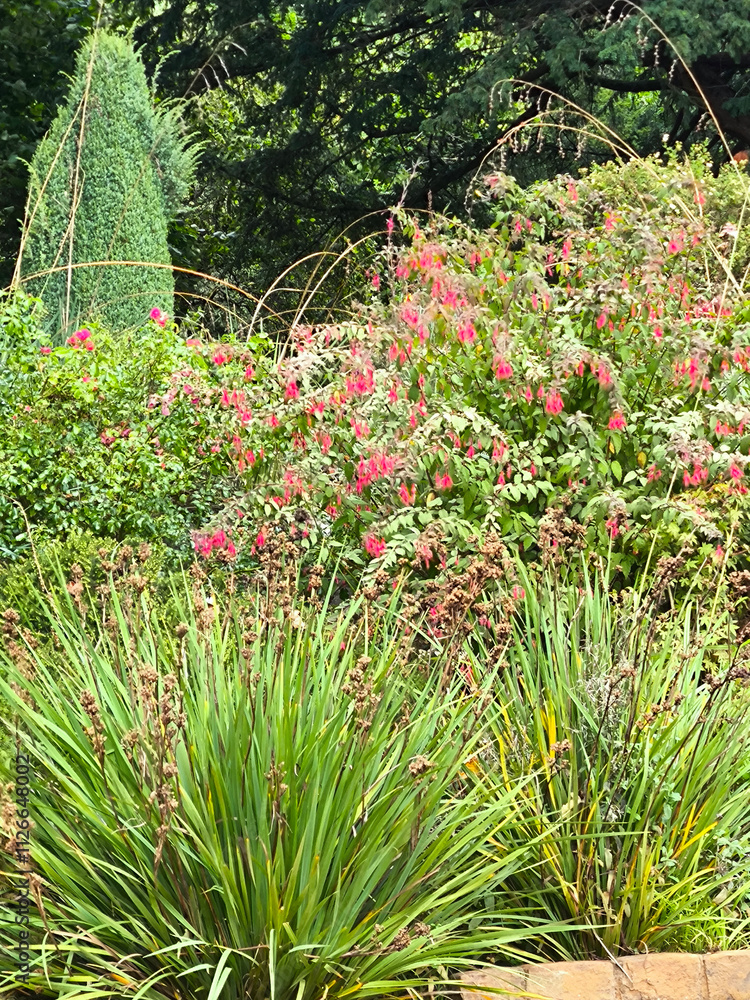 Chalice well garden