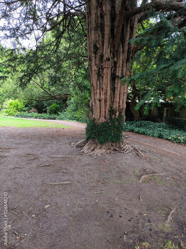 Obraz na płótnie Chalice well garden w salonie
