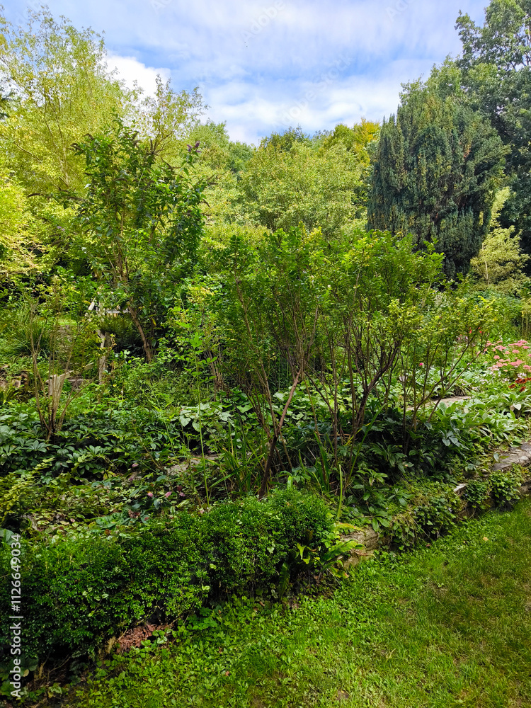 Chalice well garden