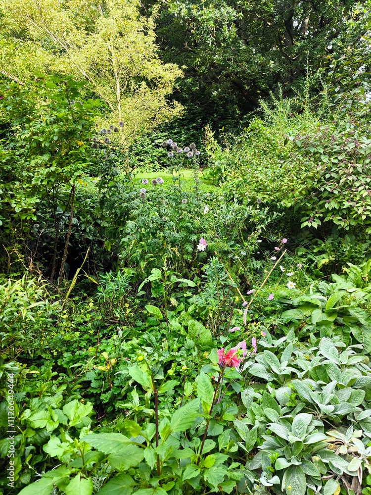Chalice well garden