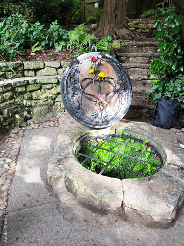 Obraz na płótnie Chalice well garden w salonie
