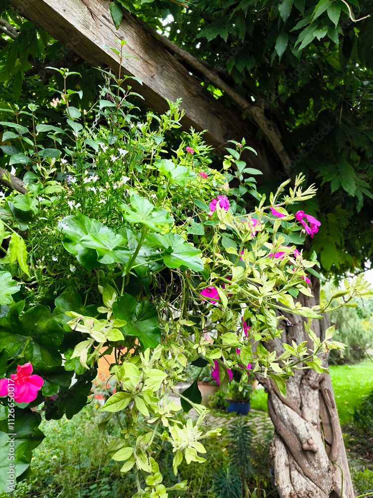 Chalice well garden