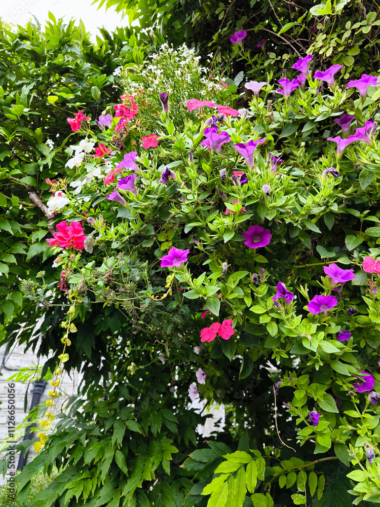 Chalice well garden