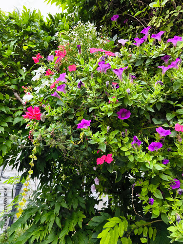 Obraz na płótnie Chalice well garden w salonie
