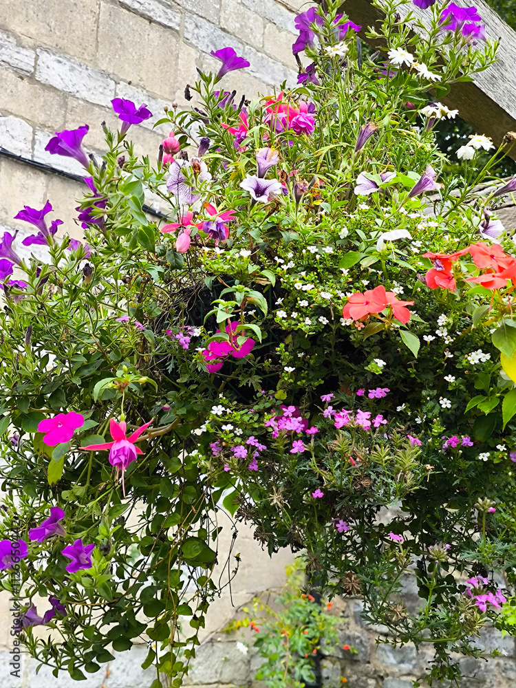 Chalice well garden