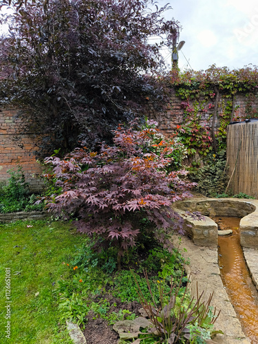 Chalice well garden