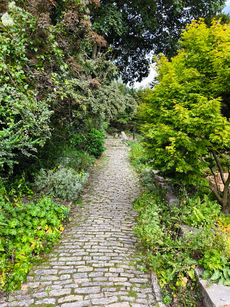 Chalice well garden