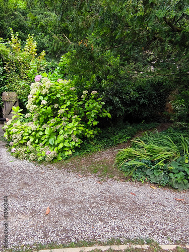 Chalice well garden