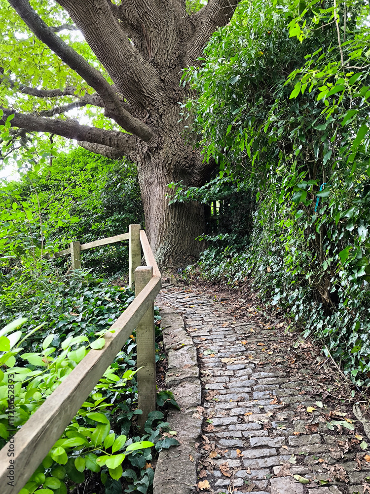 Chalice well garden