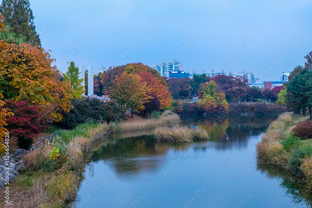 The lake imbued with the autumn maple leafs The lake imbued with the autumn maple leafs