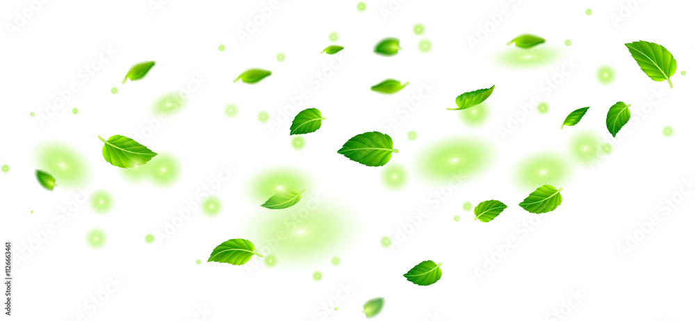 Falling Green Leaves