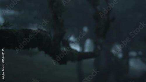 Wallpaper Mural Wet tree branch of a Laurel tree in Fanal forest in Madeira, Portugal Torontodigital.ca