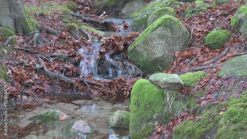 Strumyk górski, zbliżenie na uskok wodny. Karkonosze Polska photo