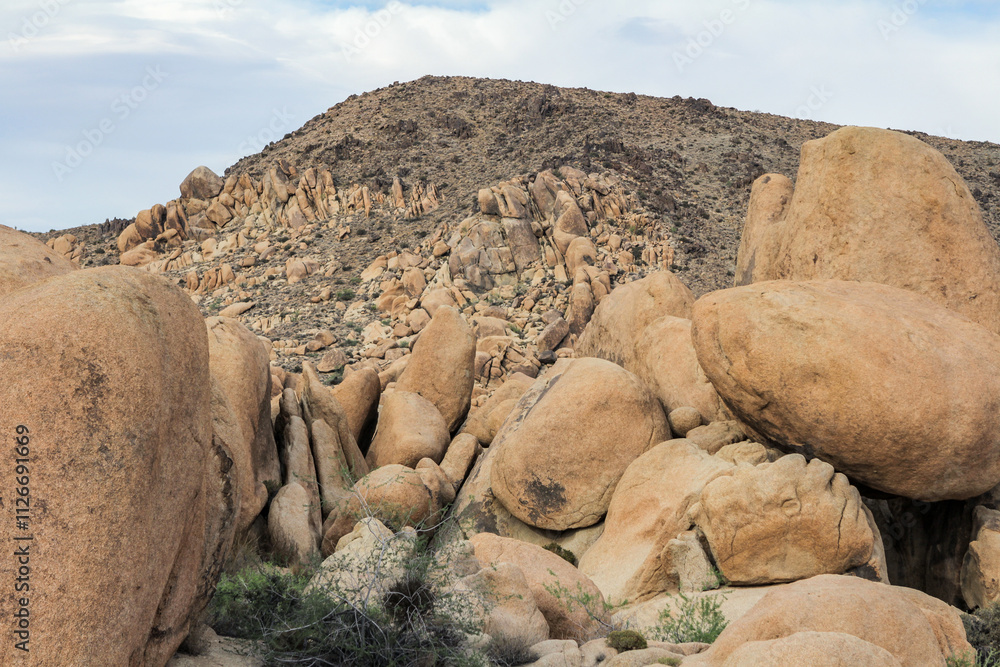 An expansive desert view showcasing the rocky wilderness and desert shrubs of Joshua Tree An expansive desert view showcasing the rocky wilderness and desert shrubs of Joshua Tree