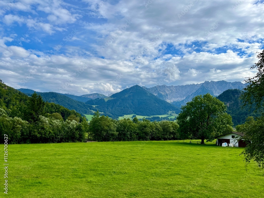 Grüne Wiese vor Bergpanorama bei bewölktem blauen Himmel mit Kuhstallhütte Und Baum Grüne Wiese vor Bergpanorama bei bewölktem blauen Himmel mit Kuhstallhütte Und Baum