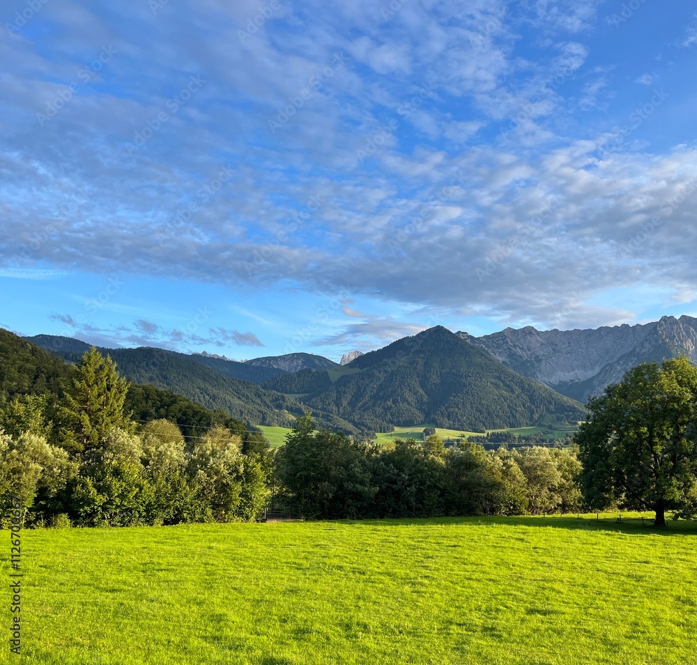 Fototapeta premium Grüne Wiese vor Bergpanorama, bei blauem Himmel mit Wolken und Baum bei Abendsonne